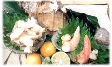 �ԊL�Ɛ��̂��h�g